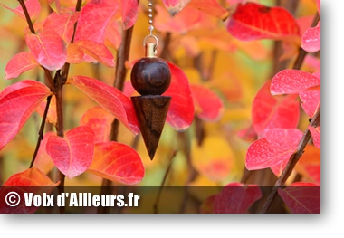 article radiesthesie pour les sceptiques