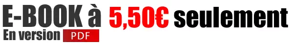 ebook à 5 euros seulement !